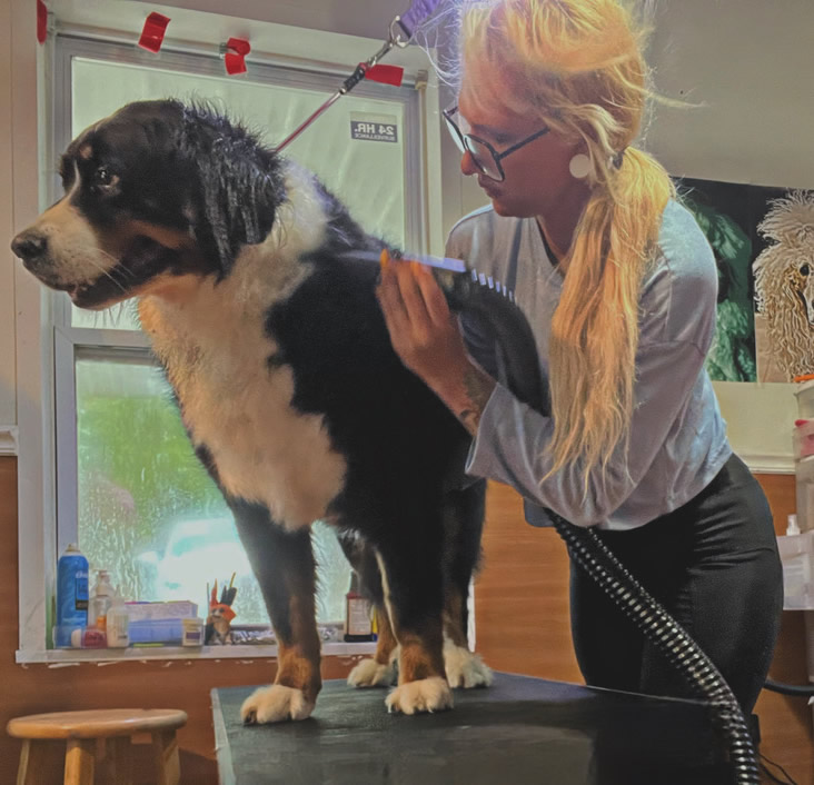 Marissa grooming a loved pet